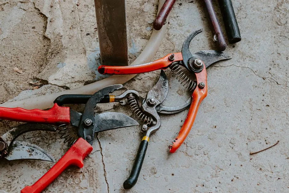 Outils de jardinier sur une zone debroussaillee