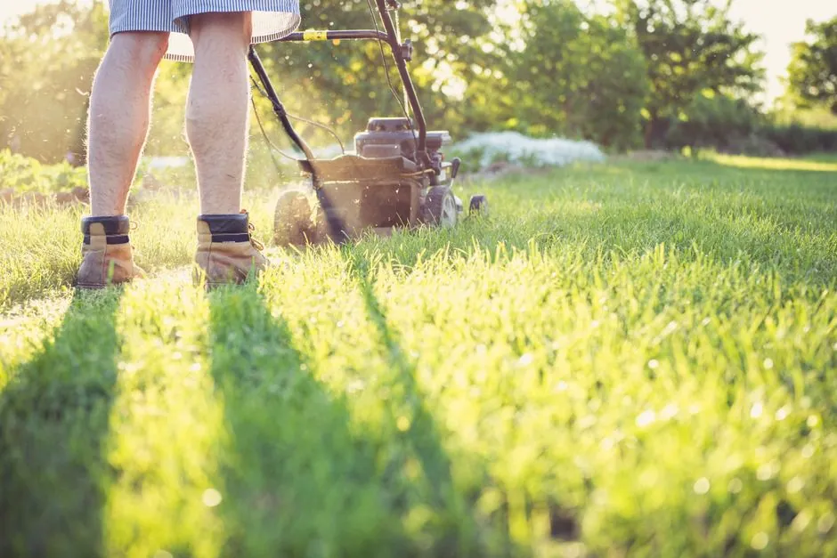 Jardin entretenu avec une pelouse tondue rayee et des massifs propres